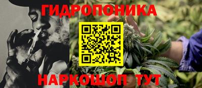 молекула духа Коммунар