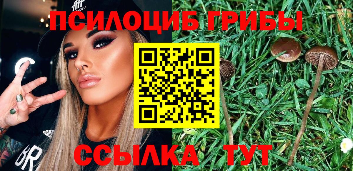 Псилоцибиновые грибы GOLDEN TEACHER  Вход с VPN  продажа наркотиков  Южноуральск 